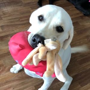 Meet your Posher, Kathleen